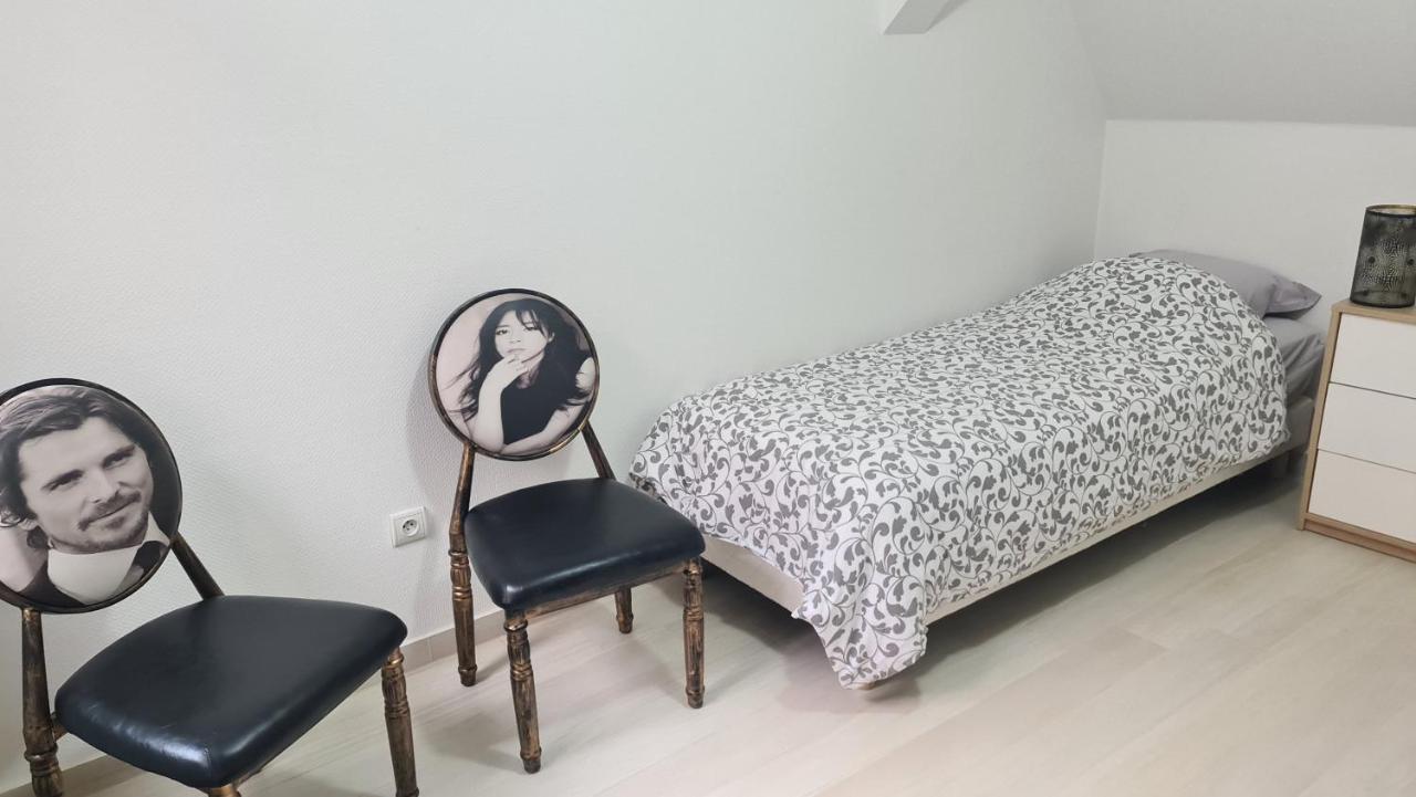 Selestat Entre Colmar Et Strasbourg Apartment ภายนอก รูปภาพ